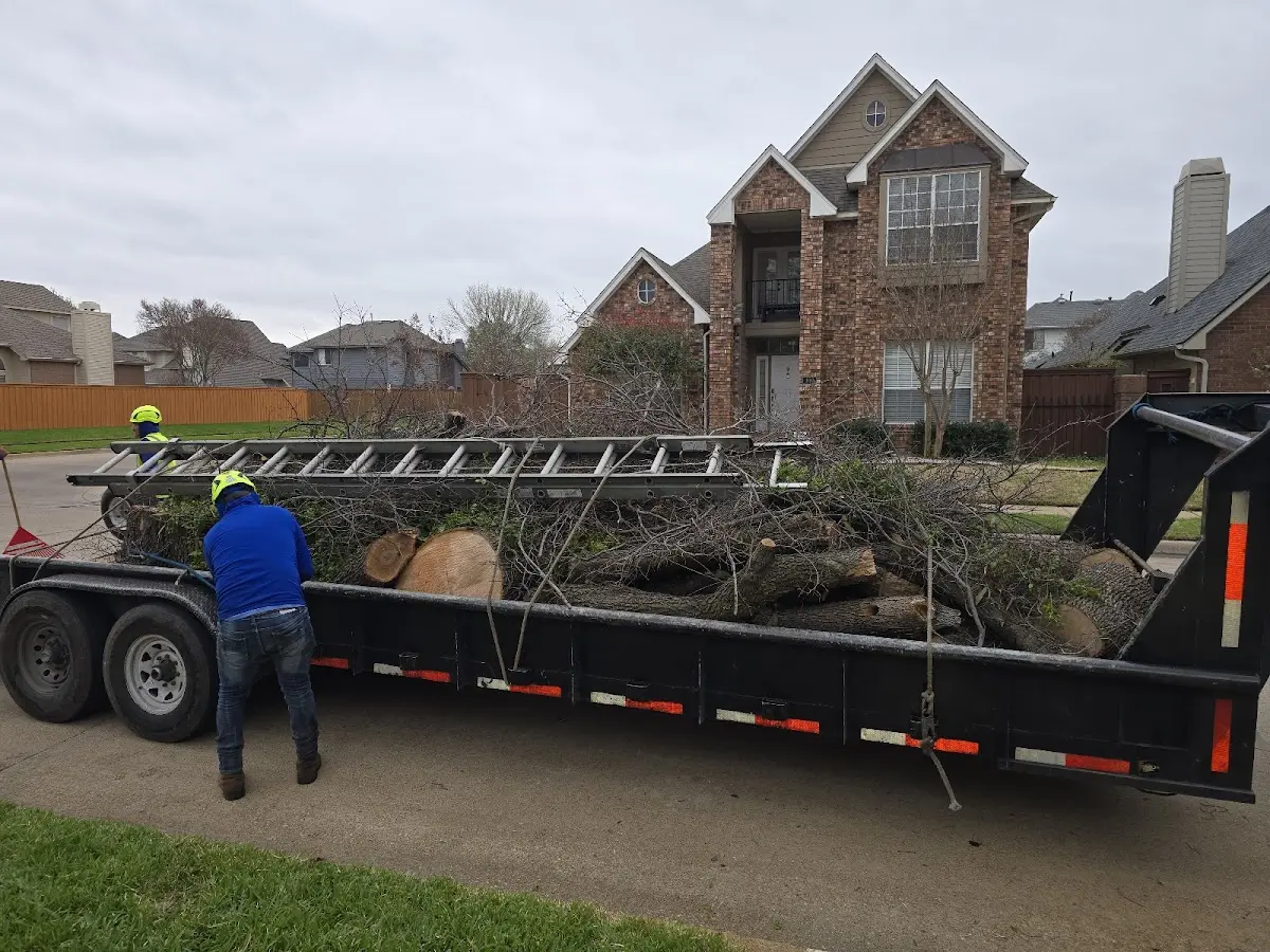 Expert Tree Fertilization with proper safety equipment in New River